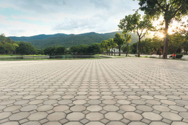 Best Concrete Paver Driveway  in Ecru, MS
